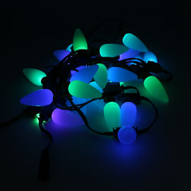 PVCs SMD5050 RGB Ketten-Lichter der Ketten-Licht-bereifte Birnen-Art-16 Mini-LED des Bit-