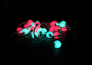 Magischer zugänglicher Licht-Ball-Niederspannung Smart RGB LED einzeln gesteuert