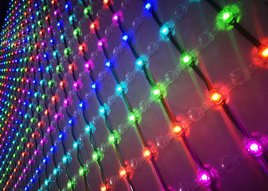 Netz-Maschen-feenhafte Lichter der bereiften Birnen-LED mit dauerhafter Polykarbonats-Wohnung