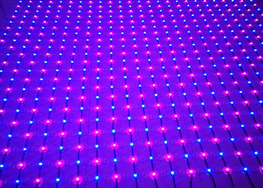 Farbenreiches Innenmaschensieb LED-Netz-Maschen-feenhafte Licht-hohe Helligkeit PVCs LED